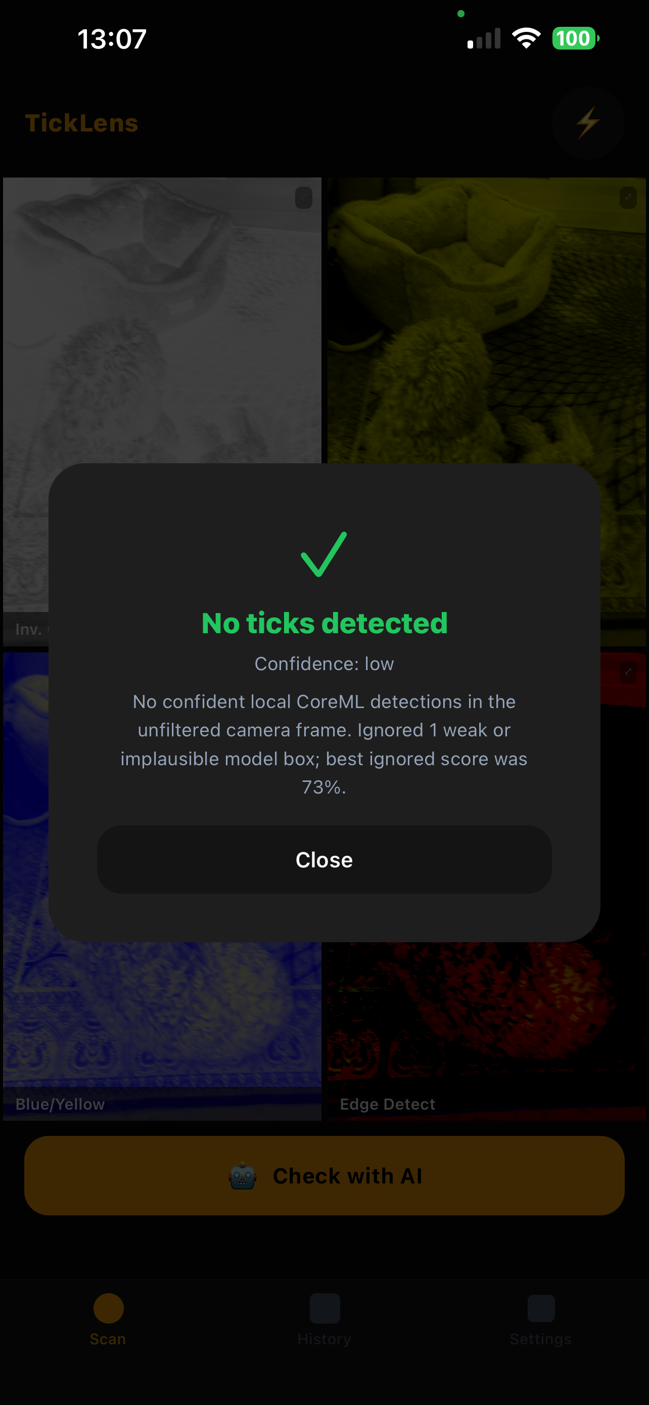 TickLens AI result screen